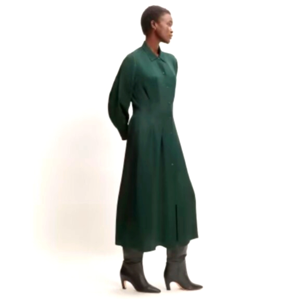 Everlane Dark Green Long Shirt Dress